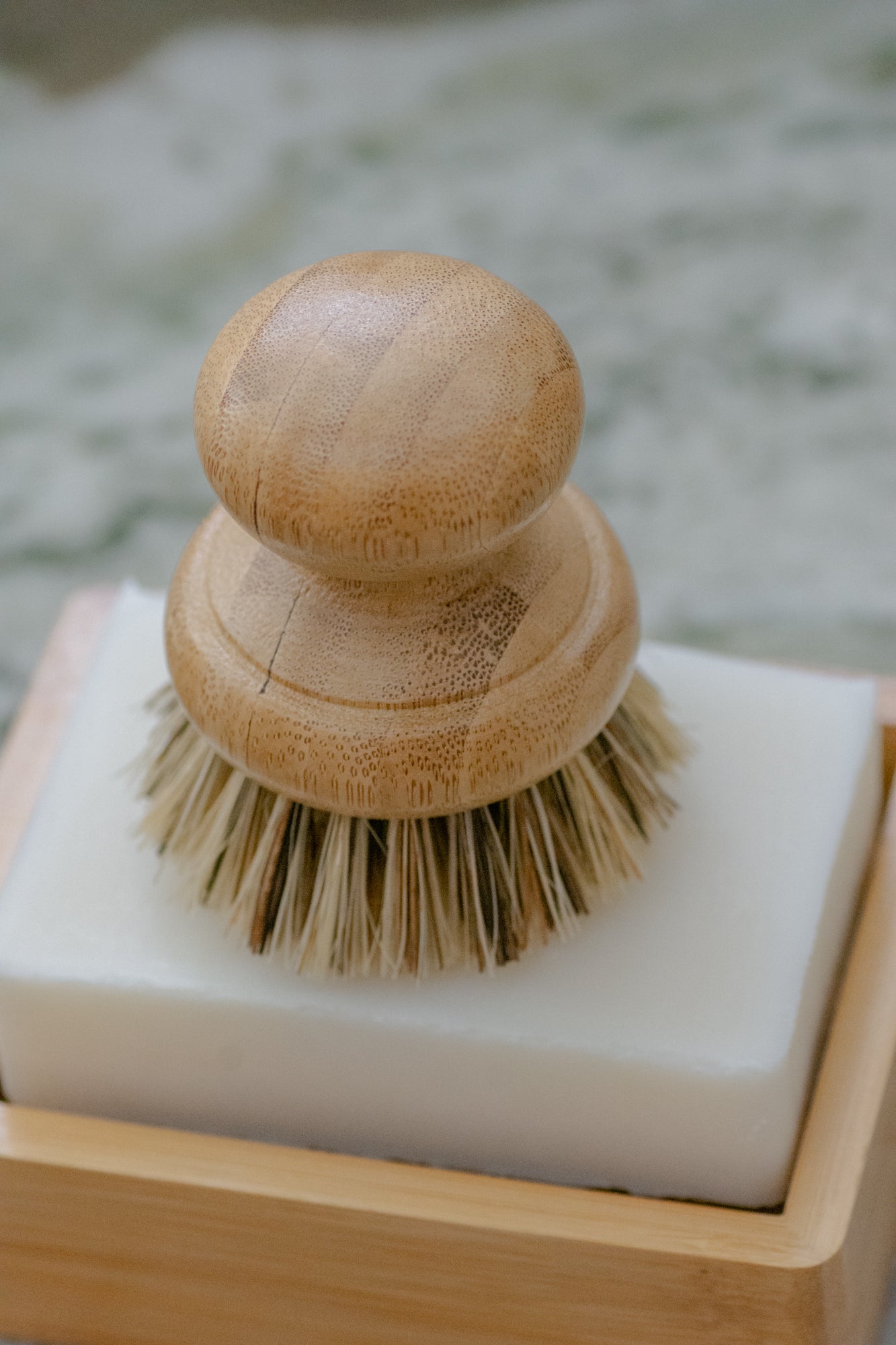 Pot Brush