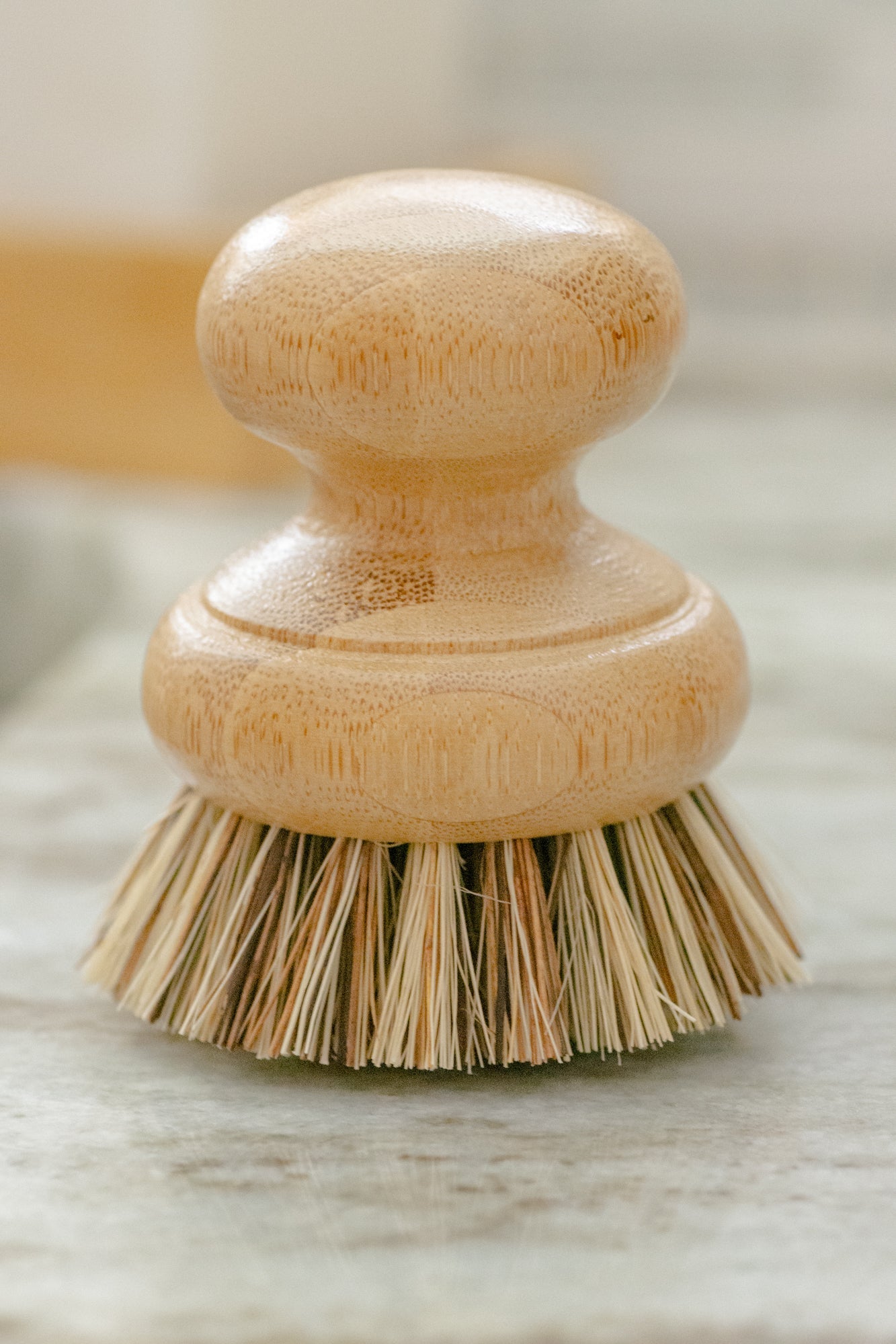 Pot Brush